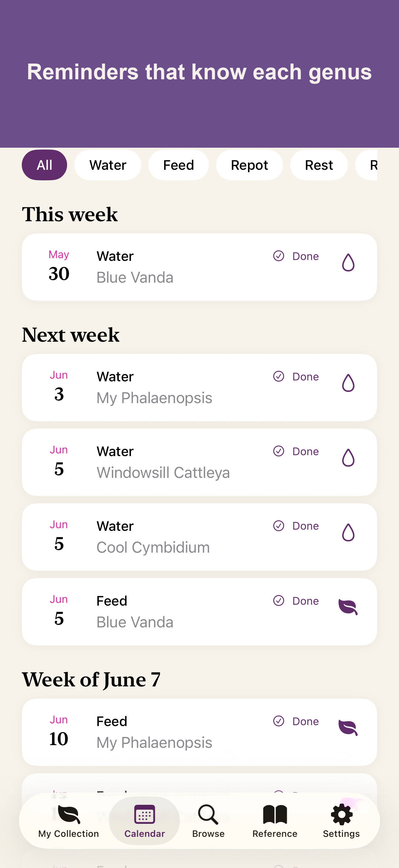 Care Calendar showing upcoming watering, feeding and repotting reminders