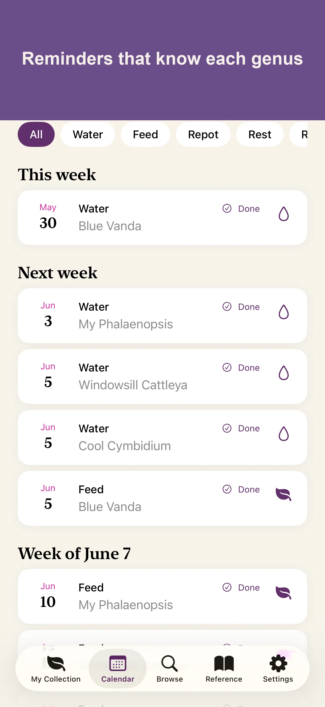 Care Calendar showing upcoming watering, feeding and repotting reminders