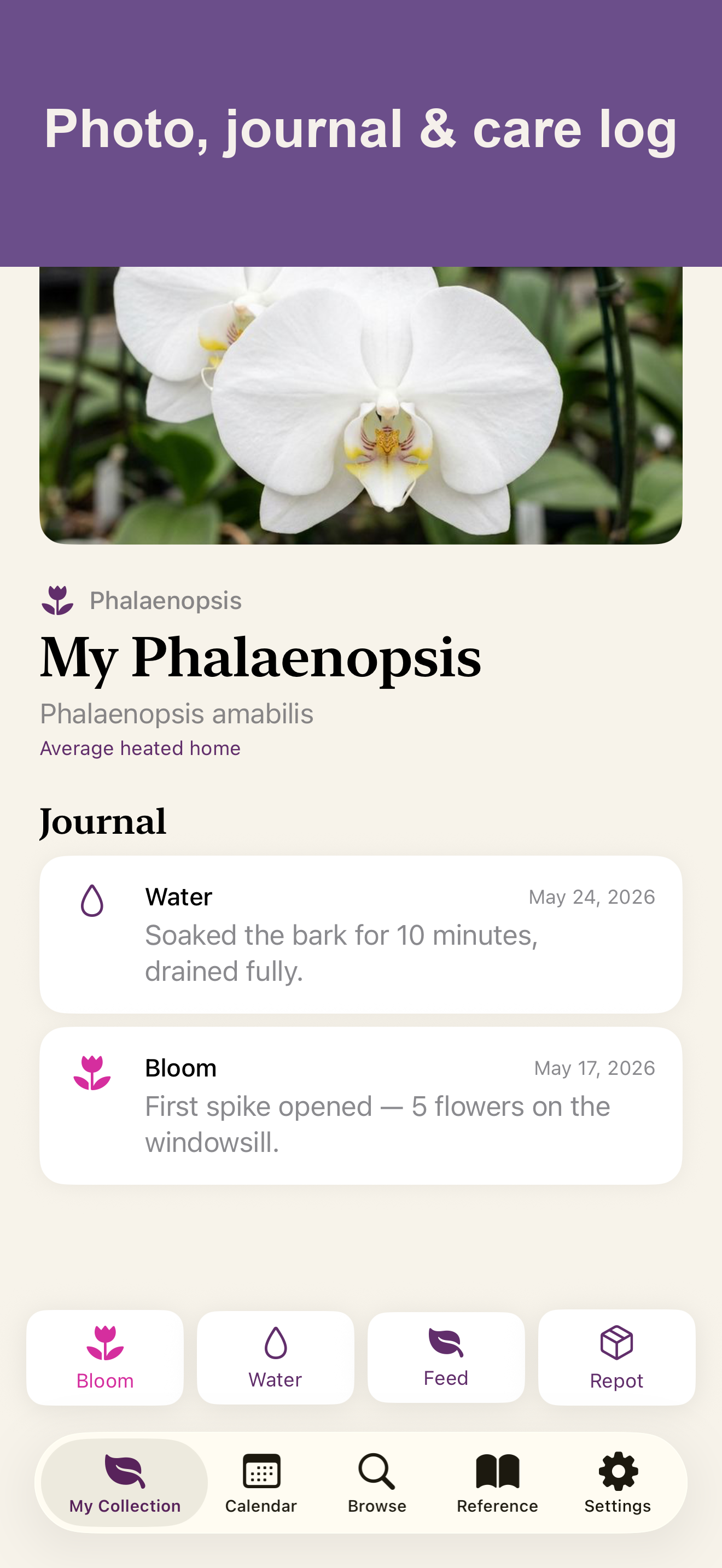 Orchid detail screen with genus-aware care summary and journal