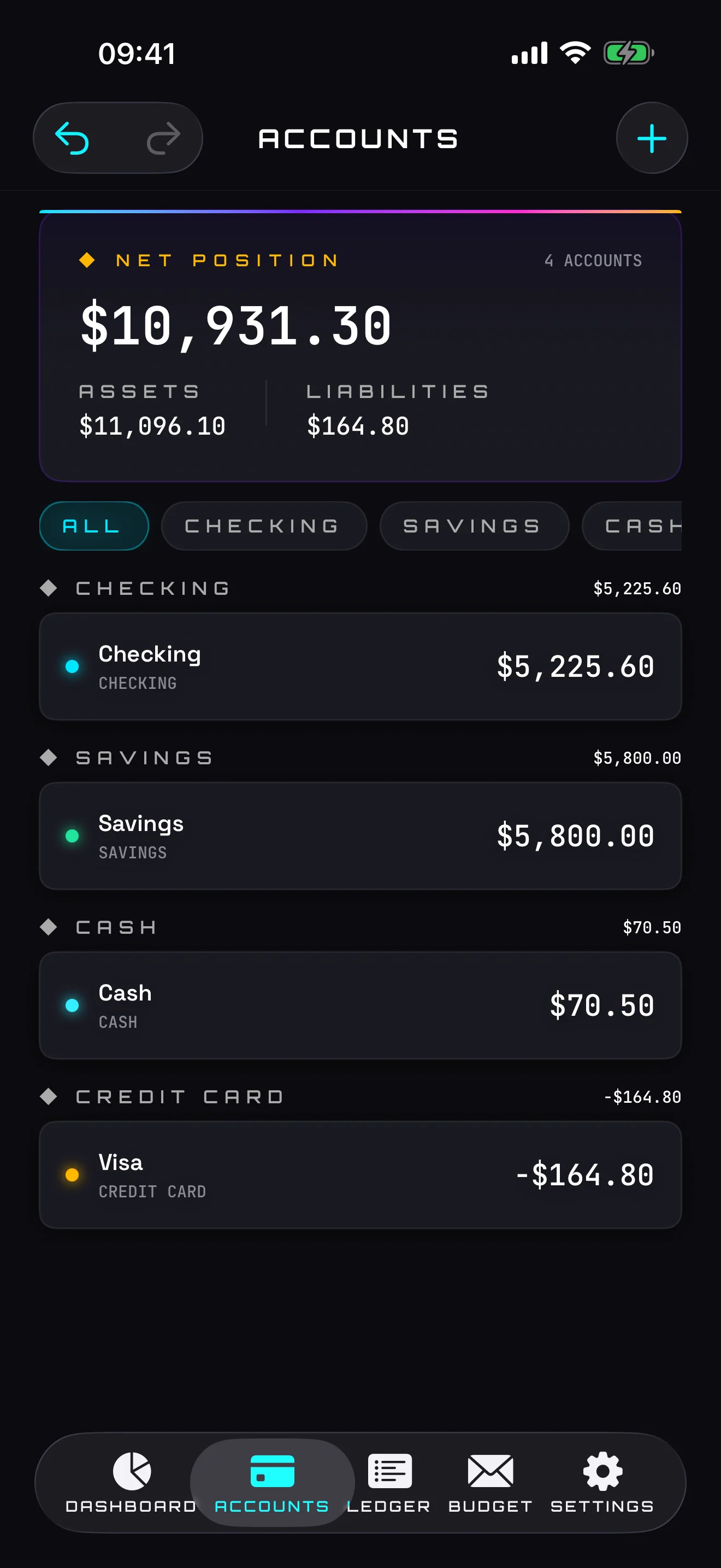 Accounts overview — checking, savings, cash, credit card, loan, investment