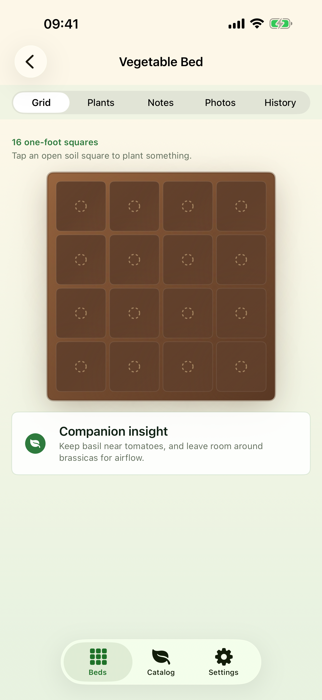 Square-foot grid view of a single bed with plants placed in each square