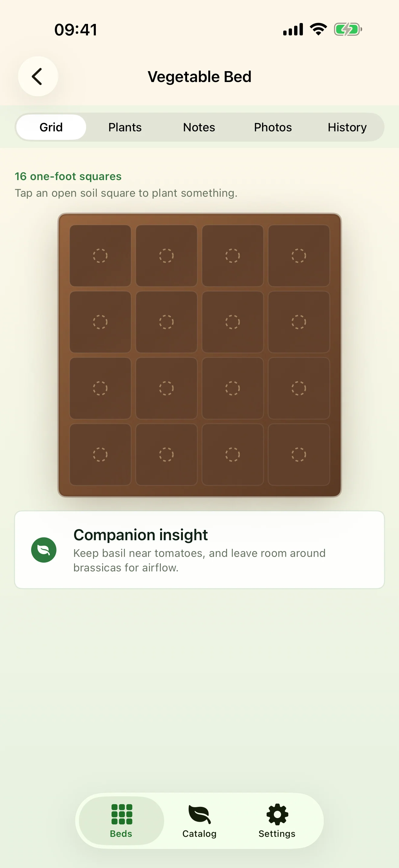 Square-foot grid view of a single bed with plants placed in each square